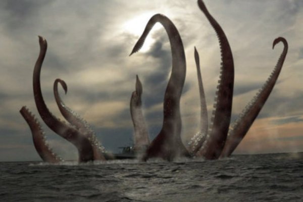 Kraken актуальное