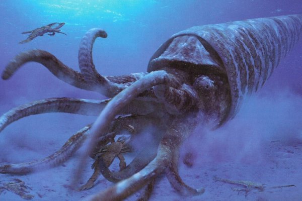 Сайт кракен тор браузера