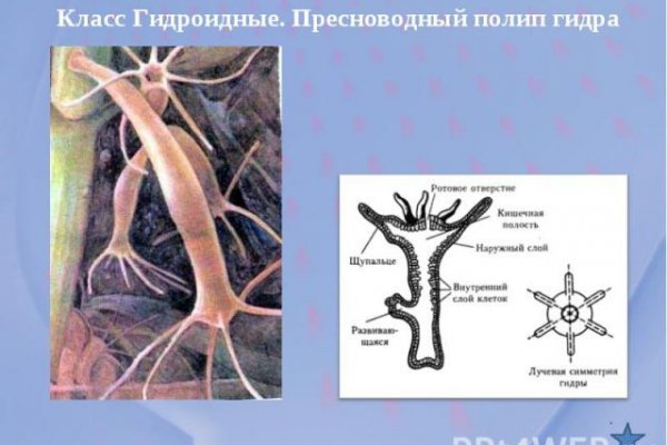 Кракен маркет наркотики