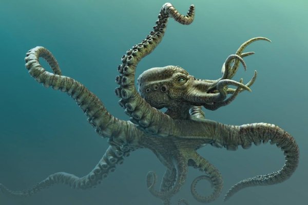 Kraken 5 at