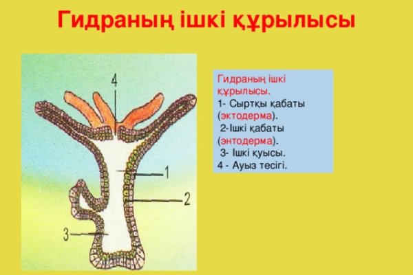 Как зайти на кракен даркнет